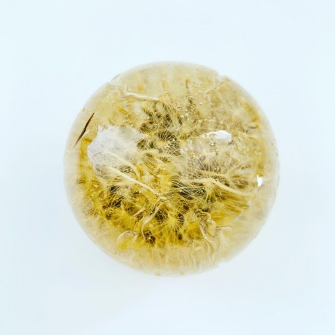 Maxi esfera estrias con diente de león